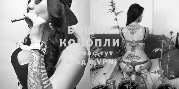 трава Белокуриха