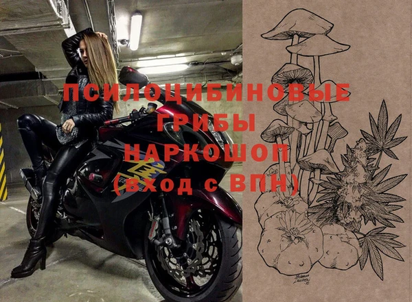 трава Белокуриха