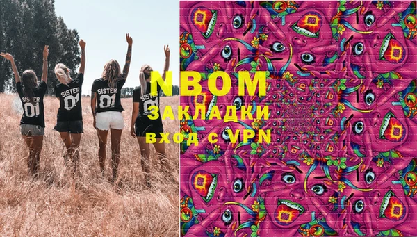 трава Белокуриха