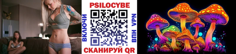 mega ONION  Бикин  Псилоцибиновые грибы Psilocybe 